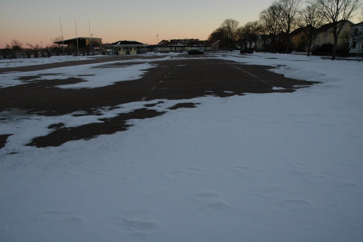 DSC_0244.JPG