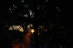 DSC_0232.JPG