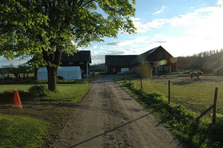 DSC_0196.JPG