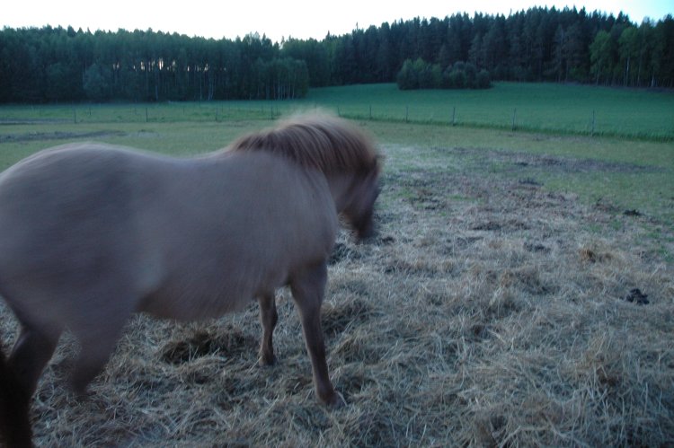 DSC_0238.JPG