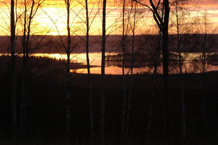 DSC_0109.JPG