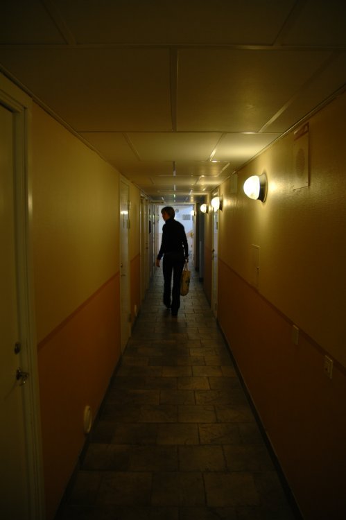 DSC_0031.JPG