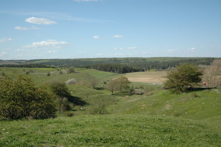 DSC_0214.JPG