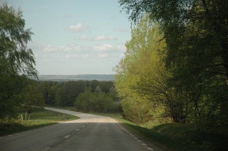 DSC_0233.JPG
