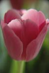DSC_0105.JPG