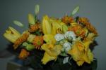 DSC_0166.JPG