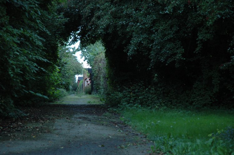 DSC_0076.JPG