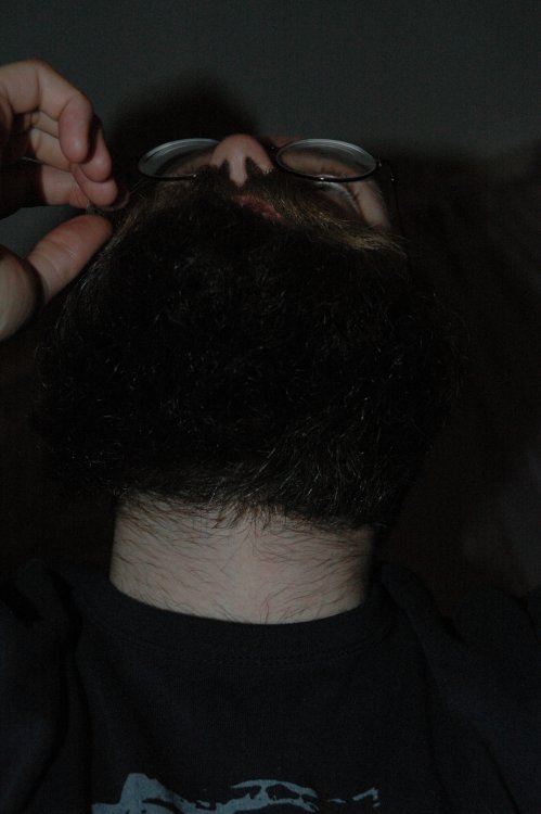 DSC_0026.JPG