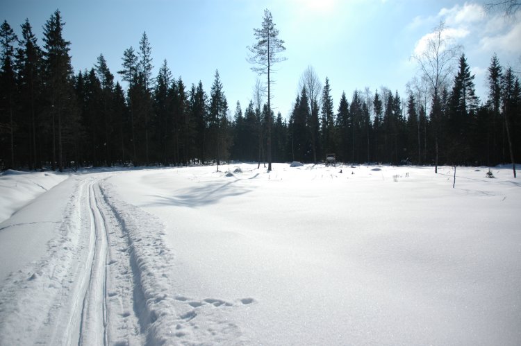 DSC_0070.JPG