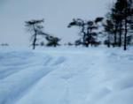 DSC_0066.JPG