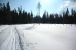 DSC_0070.JPG