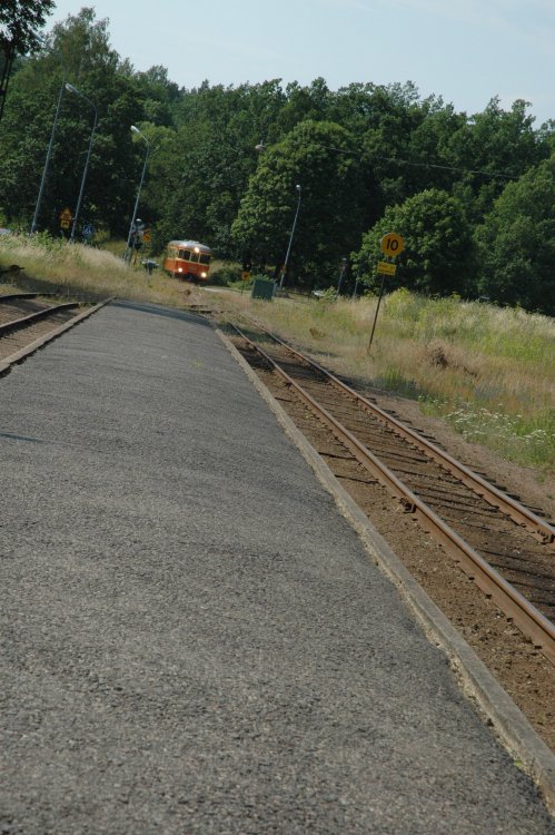 DSC_0326.JPG