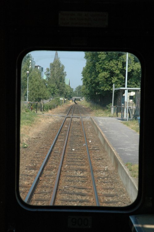 DSC_0350.JPG