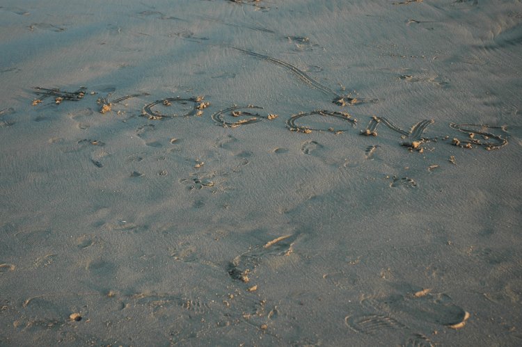 DSC_0109.JPG
