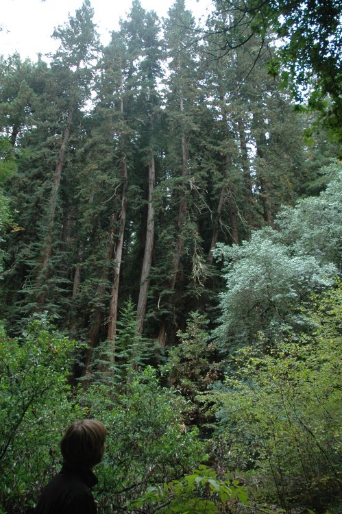 DSC_0031.JPG