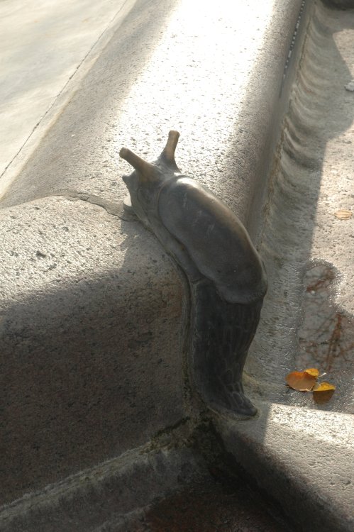 DSC_0083.JPG