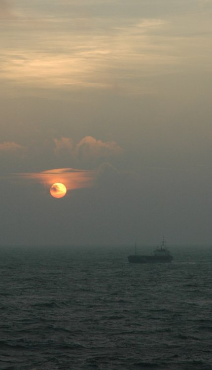 DSC_0119_crop.jpg