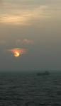 DSC_0119_crop.jpg