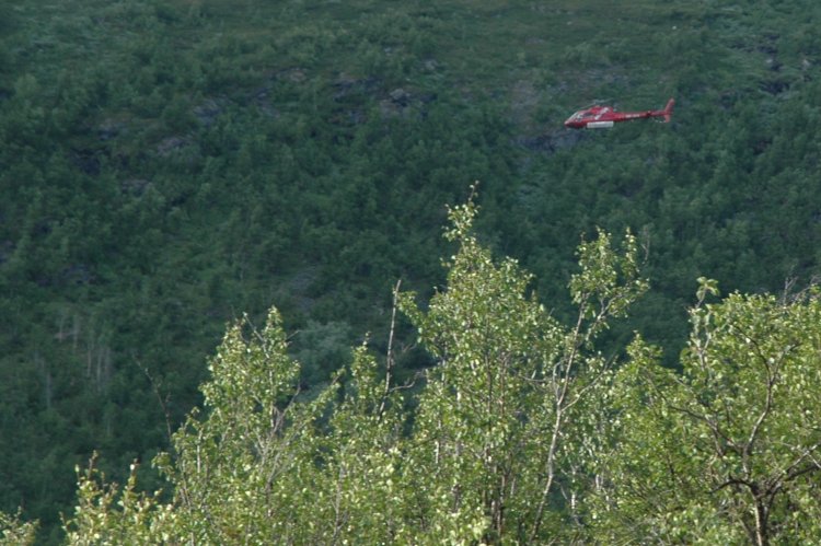 DSC_0136.JPG