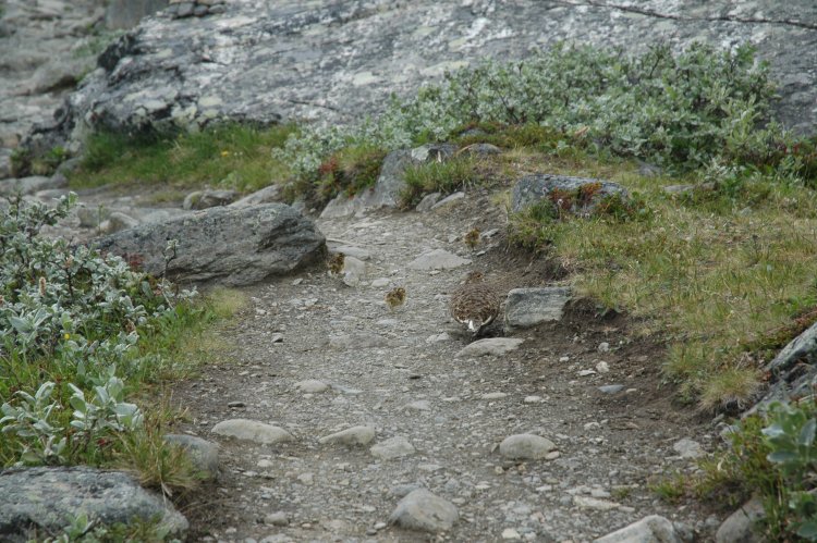 DSC_0308.JPG