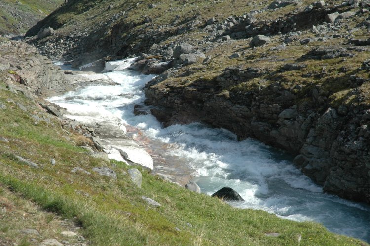 DSC_0329.JPG