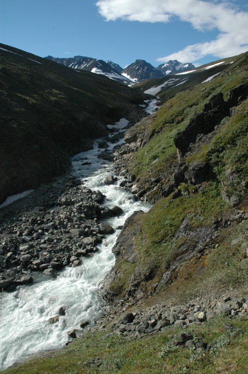 DSC_0334.JPG