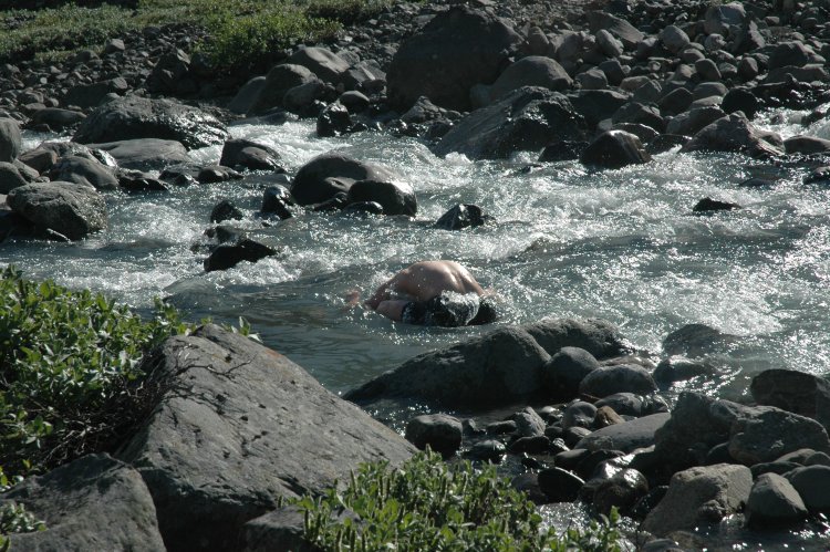 DSC_0340.JPG