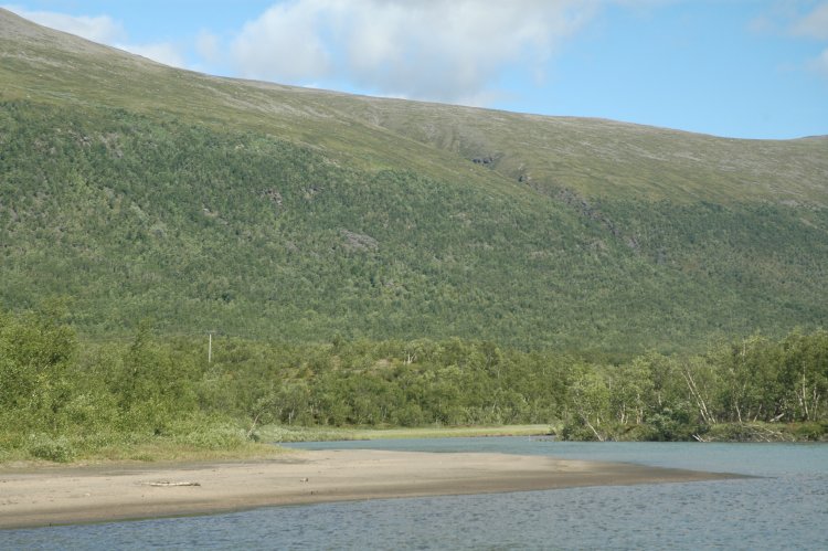 DSC_0350.JPG