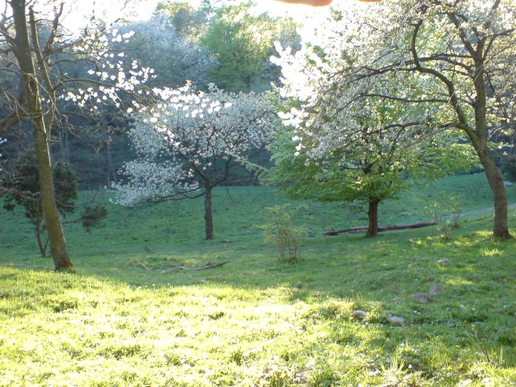 DSC00330.JPG