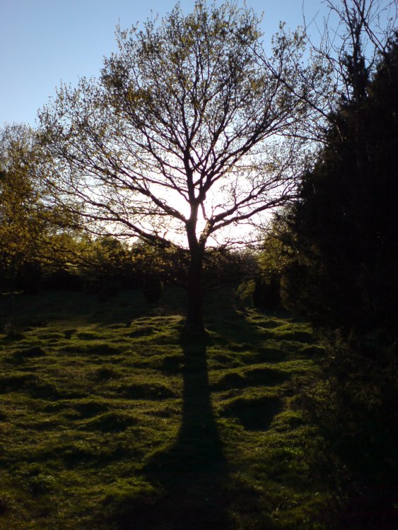 DSC00344.JPG