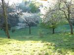 DSC00330.JPG