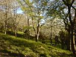 DSC00334.JPG
