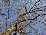 DSC00338.JPG