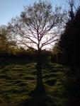 DSC00344.JPG