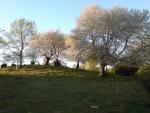 DSC00345.JPG
