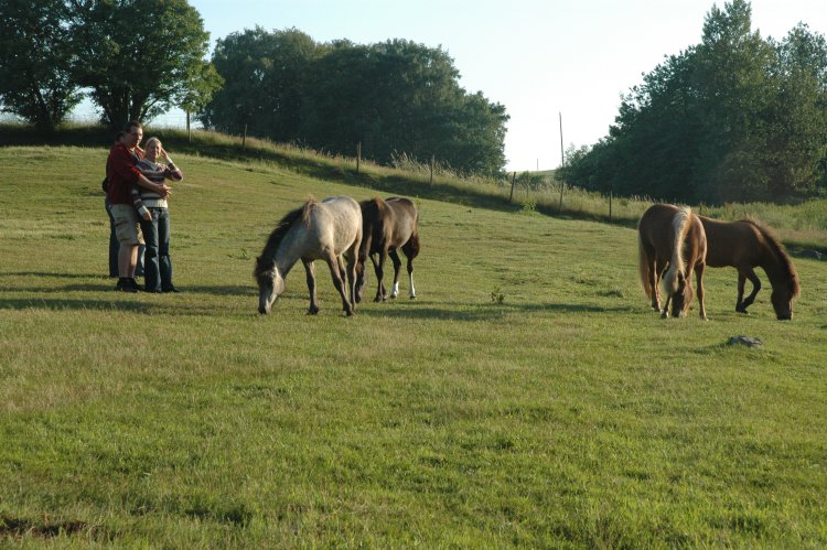 DSC_0066.JPG
