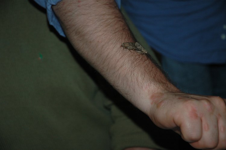 DSC_0170.JPG