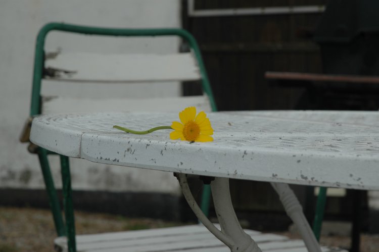 DSC_0310.JPG