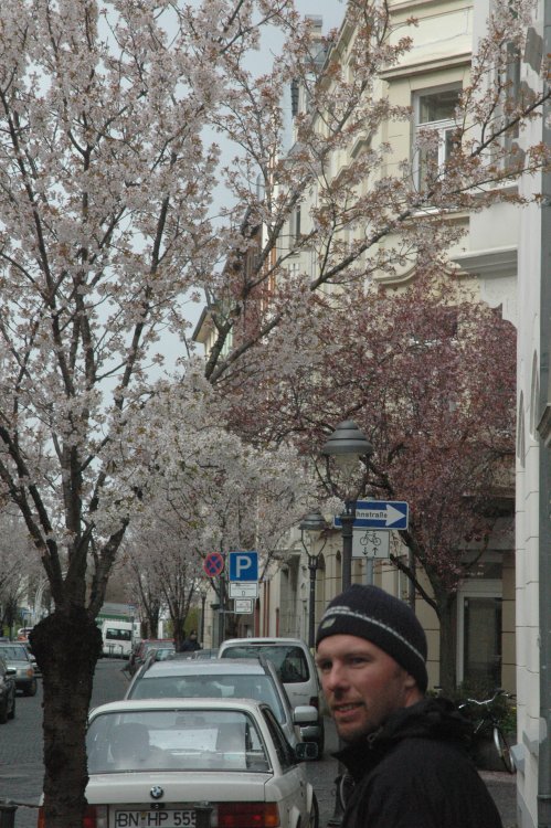 DSC_0141.JPG
