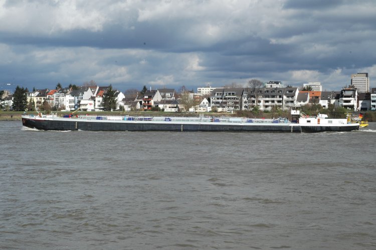 DSC_0211.JPG