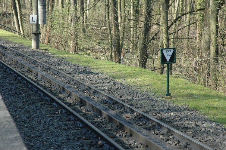 DSC_0330.JPG