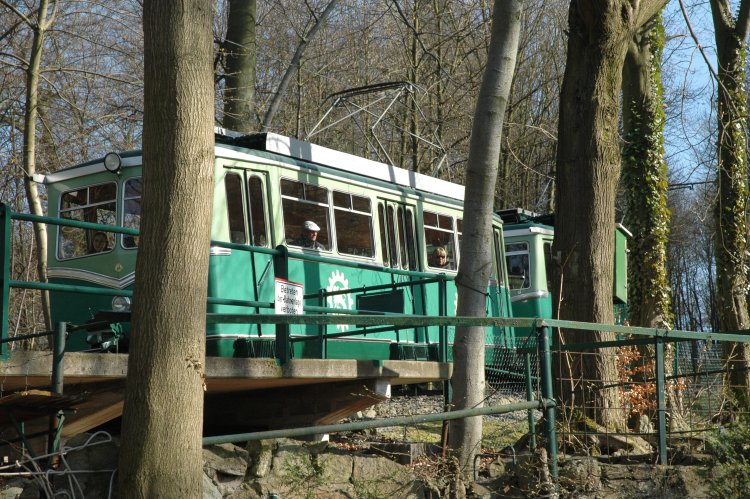 DSC_0335.JPG