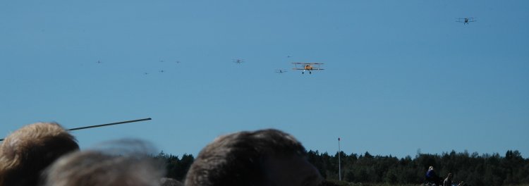 DSC_0081.jpg