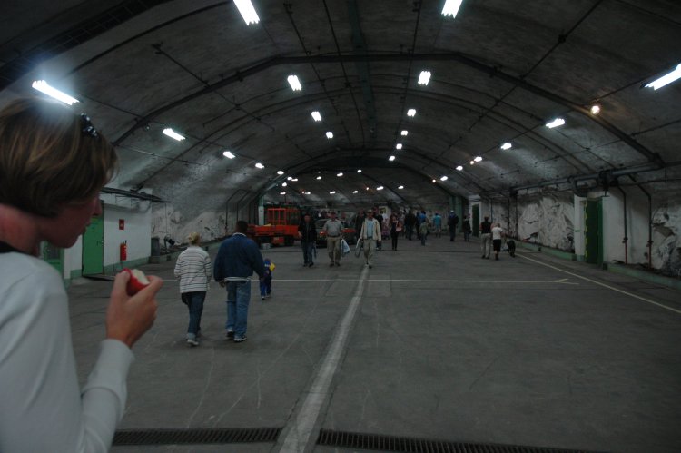 DSC_0226.JPG