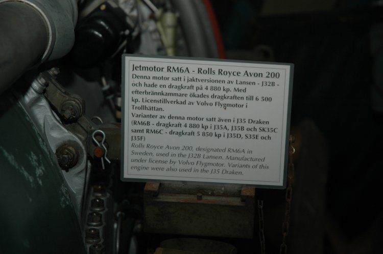 DSC_0296.JPG