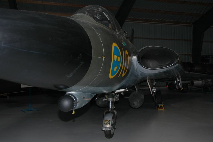 DSC_0302.JPG