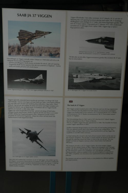 DSC_0307.JPG