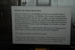 DSC_0305.JPG