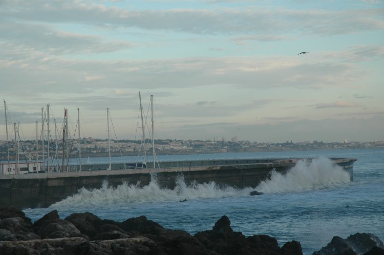 DSC_0095.JPG