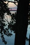 DSC_0203.JPG